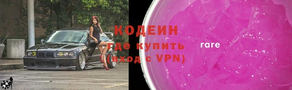 индика Аркадак
