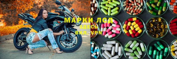 индика Аркадак