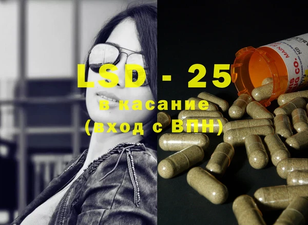 индика Аркадак