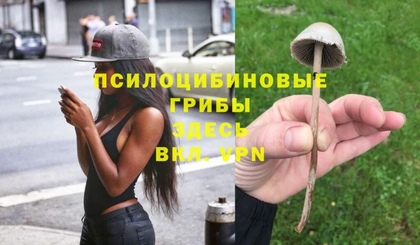 меф Арсеньев