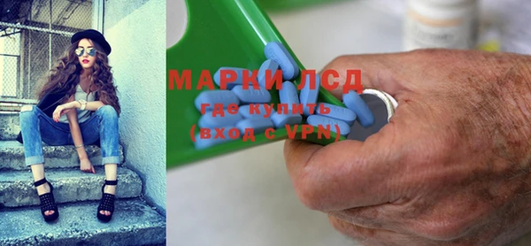индика Аркадак