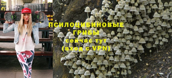 индика Аркадак