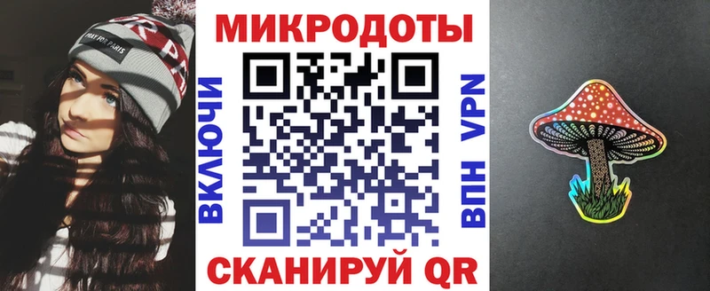 Купить где Вязники Галлюциногенные грибы Psilocybine cubensis